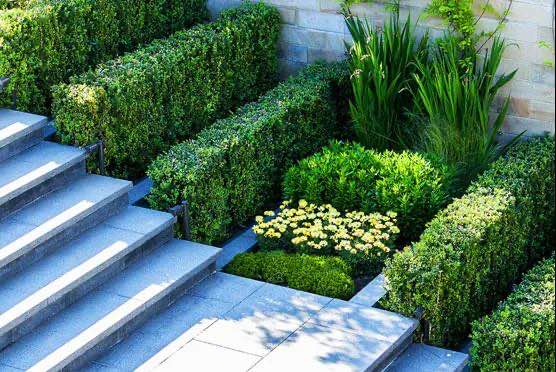 1599614734134688.jpg 微信图片_20200909092218.jpg