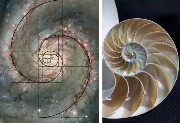 ݸֻ ·ҳ ݸִʯ ʯ ʯӢʯ ʯ